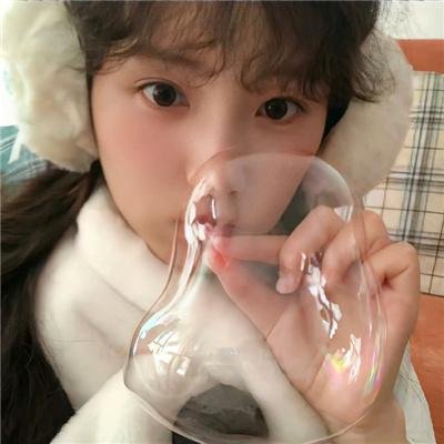联邦调查局第五季